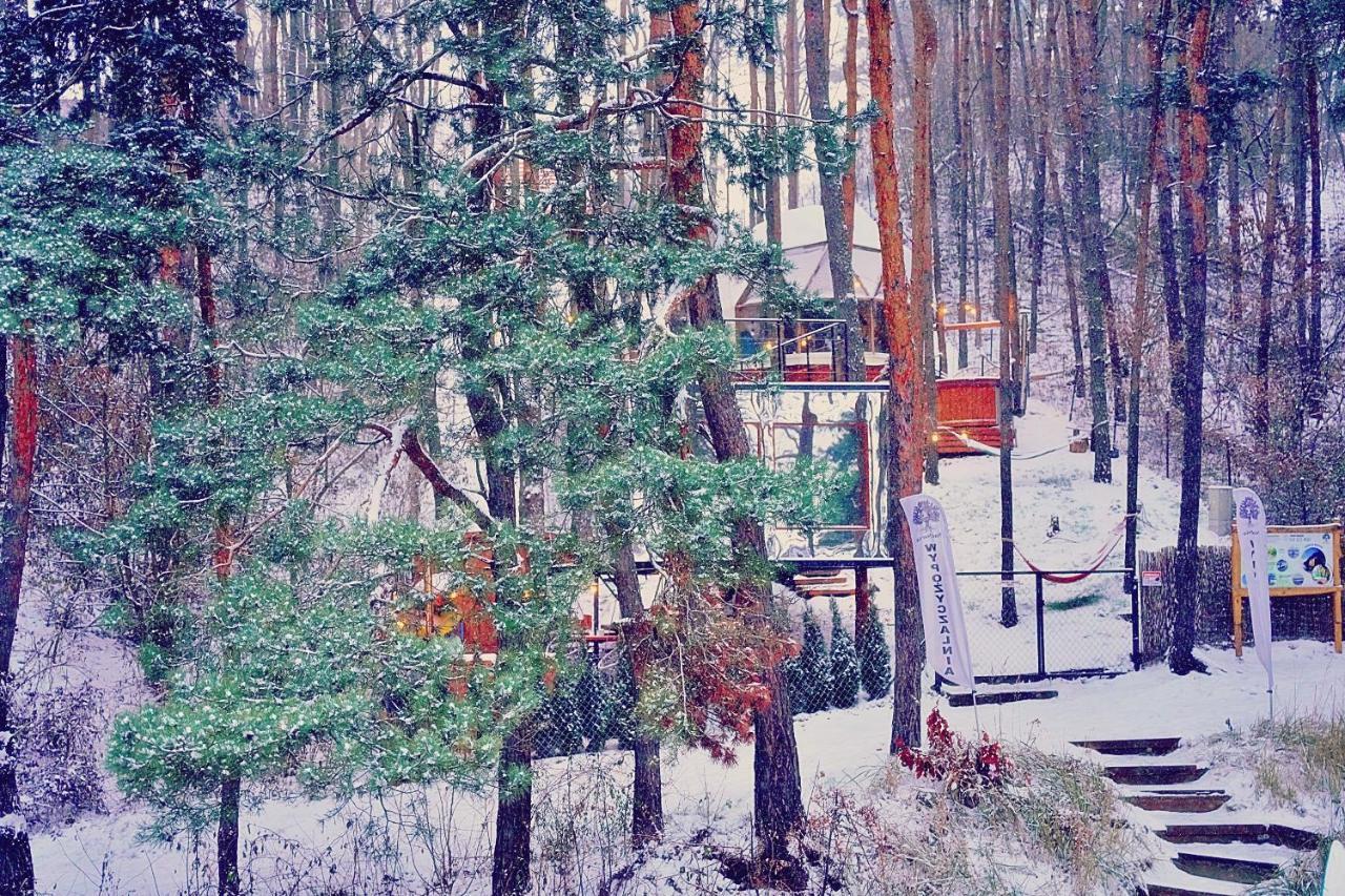 Nad Narvia - Dom Na Drzewie Serock Kültér fotó
